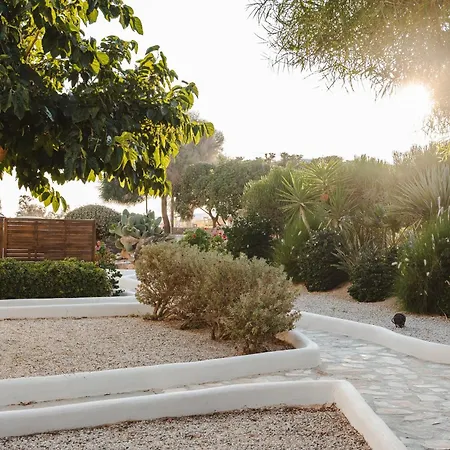 Almiriki Naxos Beachside Living Daire