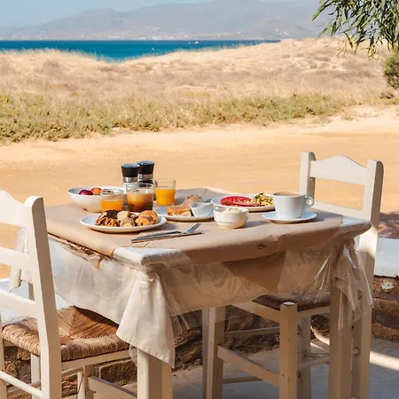 公寓 Almiriki Naxos Beachside Living