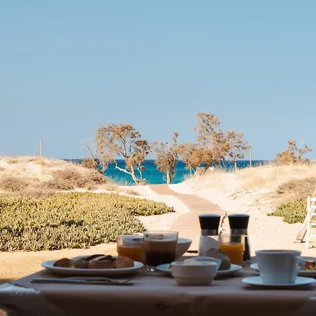 公寓 Almiriki Naxos Beachside Living *